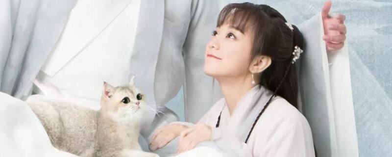 茹小岚谁演的