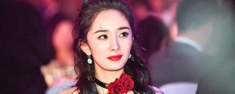 杨幂旗下艺人名单