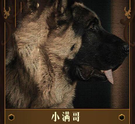 ɳС˭