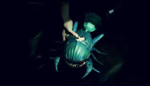 ʬhʲô