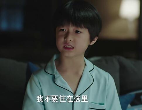 我的前半生平儿去美国了吗