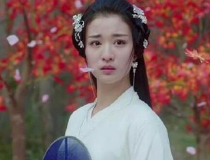 柳惜音为什么去西夏