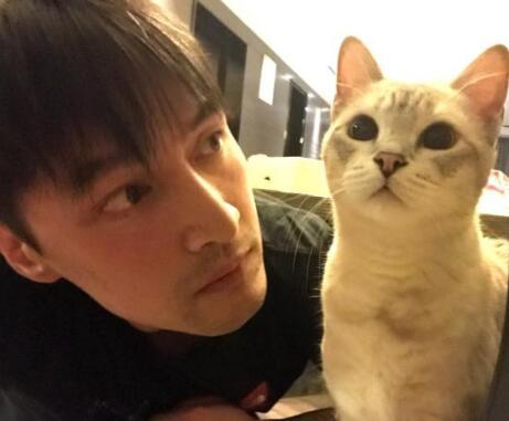 胡歌老婆章乐韵是真的吗