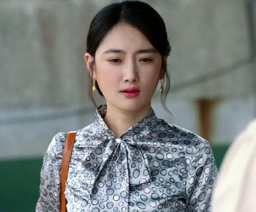 杜心生苗招娣离婚了吗