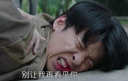 大江大河戴娇凤出轨了吗