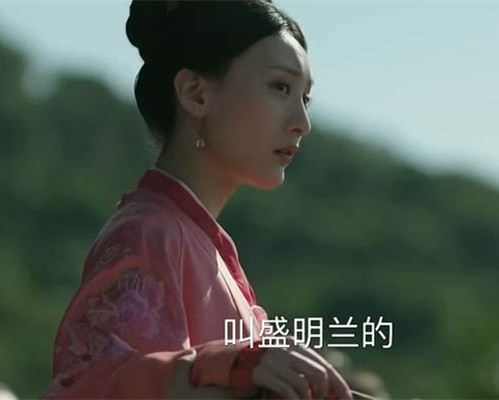 知否嘉成县主嫁给谁了