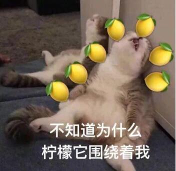 ʾʲô˼