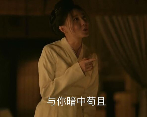 知否林小娘为什么被赶到庄子里