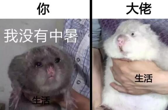 ũֵô