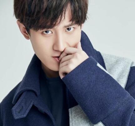 成毅怎么出道的