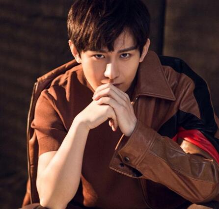 成毅怎么出道的