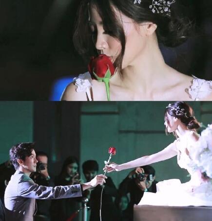 吹落的树叶结局是什么