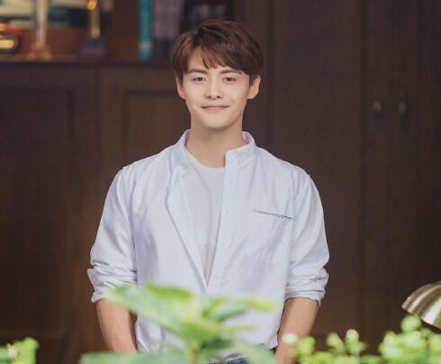 流淌的美好时光齐铭谁演的