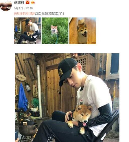 向往的生活锅碗瓢盆领养情况