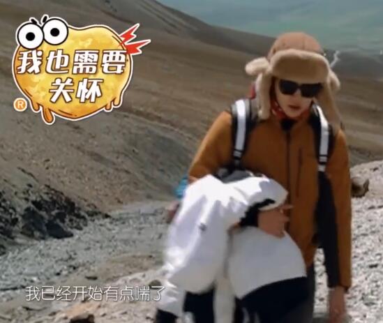 我家那小子第二季秦奋哪一期