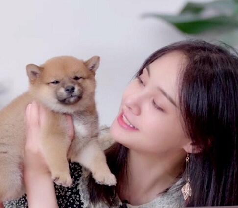 郑爽最近怎么了