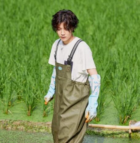 ����������¹������ʲô��