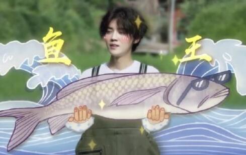 ����������¹������ʲô��