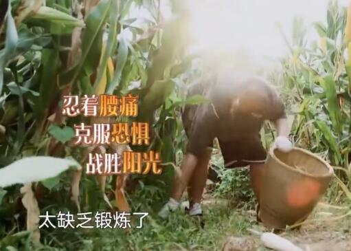 ����������ºյ��ʲô��