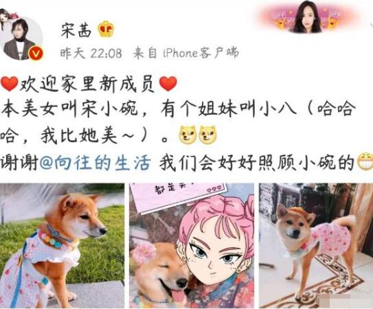 锅碗瓢盆被谁领养了