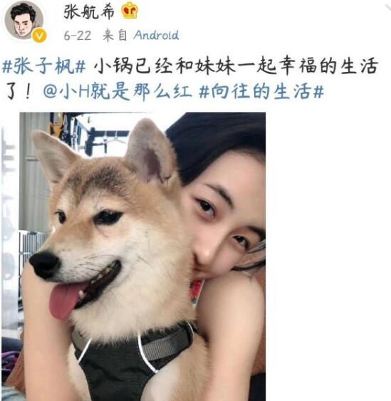 锅碗瓢盆被谁领养了