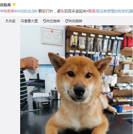 锅碗瓢盆被谁领养了