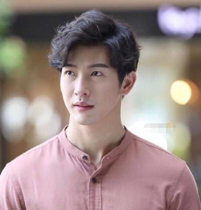 吹落的树叶男主是谁