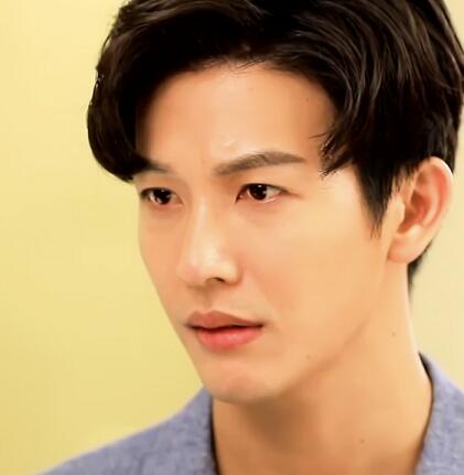 吹落的树叶男主是谁