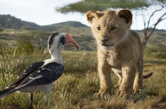 狮子王彩蛋是什么