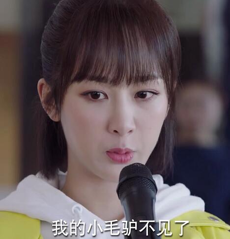 �ҵ�Сë¿������ʲô��