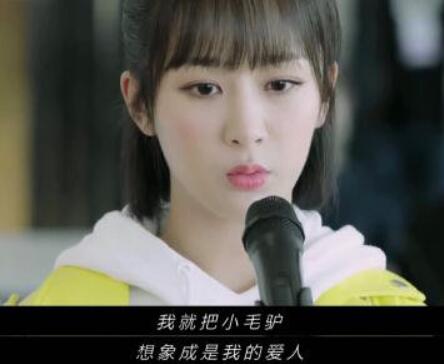 �ҵ�Сë¿������ʲô��