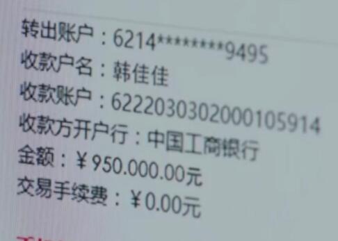 亲爱的热爱的韩佳佳是谁