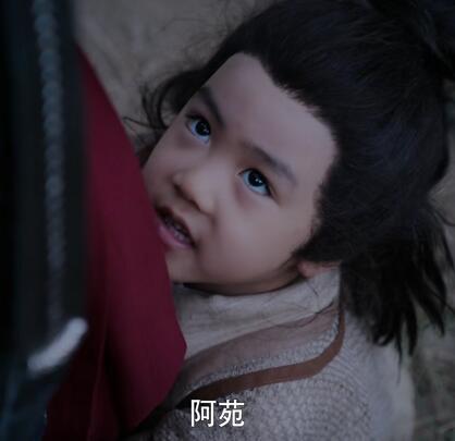 陈情令阿苑是谁的孩子