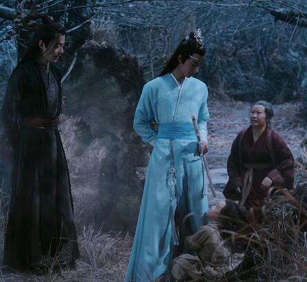 陈情令阿苑是谁的孩子