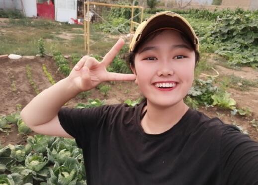 �й�������2019����ѩ����������