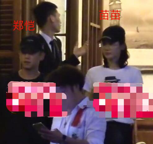 郑恺苗苗怎么认识的