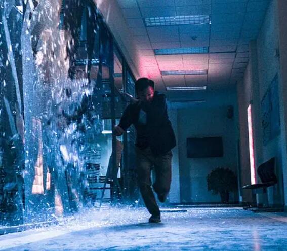 沉默的证人什么时候上映