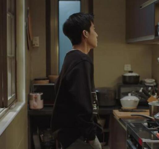 小欢喜季杨杨家进贼