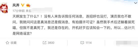 凤于九天什么时候开播