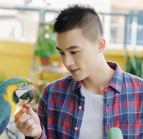 ɽ�²�֪�ĵ���Ҷ����������