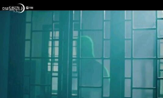 德鲁纳酒店萤火虫是谁