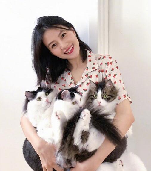 高圆圆状态怎么样