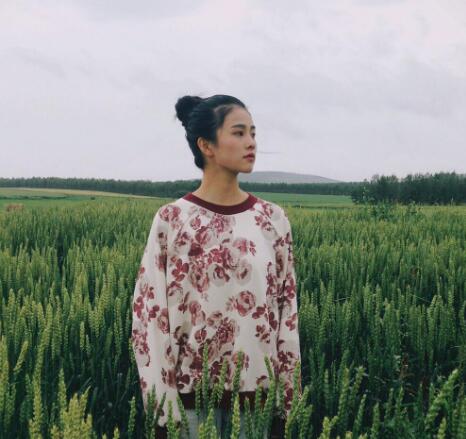 白鹿为什么资源这么好