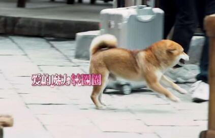 Сư��˭������