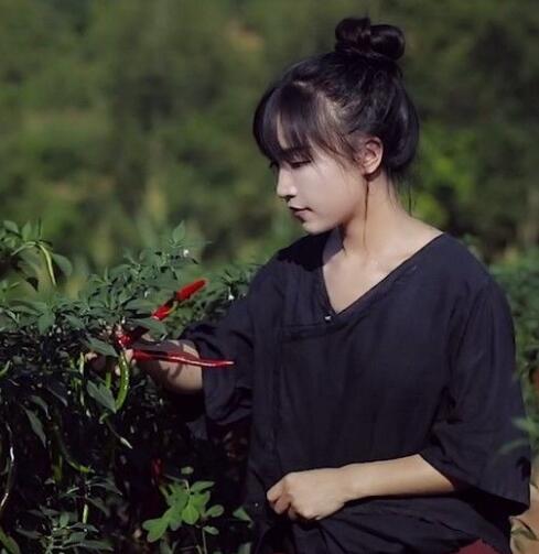 李子柒经历了啥子事情