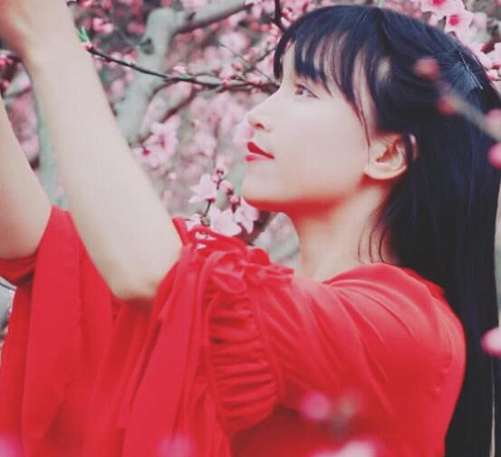 李子柒经历了啥子事情