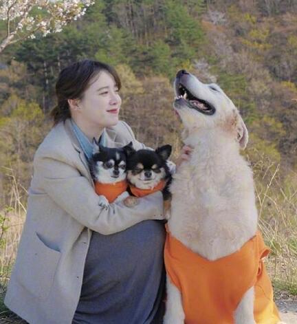 具惠善称不想与安宰贤离婚