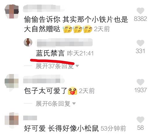 蓝氏禁言什么意思