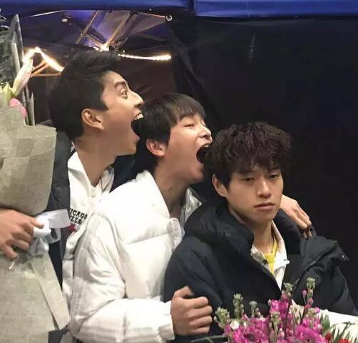 小小的愿望什么时候上映