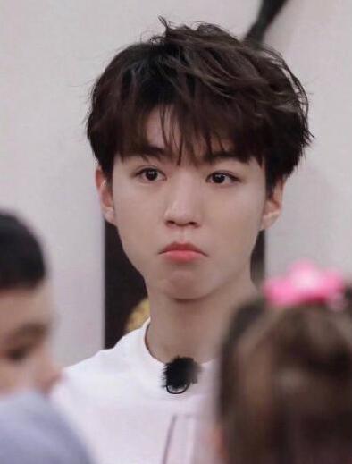 �в���Ԥ������������ԭ��